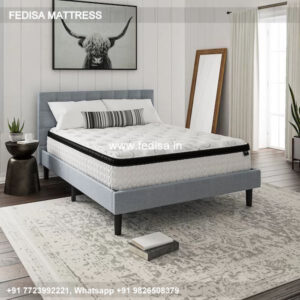 Mattresses King Size Mattress Best Mattress Mattress Stores Mattress Online 0235